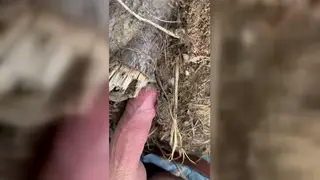 Slim European Shows Uncut Cock in Homemade Bareback Clip