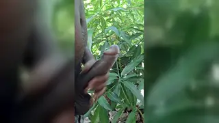 Mature Black Daddy Unleashes a Massive Load Outdoors