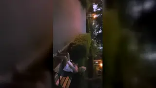 Amateur Couple Shares a Public Blowjob in the Park