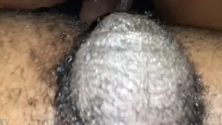 Close View Highlights Impressive Length in Action