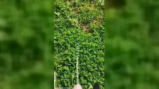 European Twink Compilation of Public Pissing and Handjobs