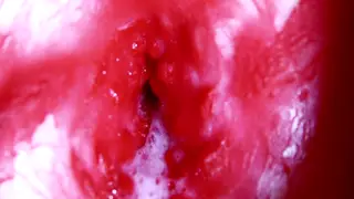 POV Blowjob and Anal Toy Play with Oil