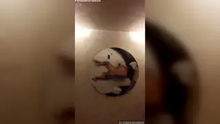Muscular Latino Enjoys a Married Man at a Motel
