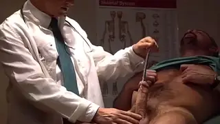 Mature Bear Doctor Demonstrates Sounding on Young Patient in Clinic