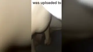 Voluptuous Beauty Shows Off Perfect Curves Solo