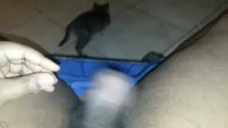 Hairy Bear Works His Thick Cock in Close-Up