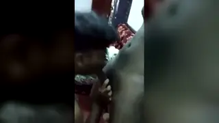 Two Men Trade Blowjobs in Quick Hookup