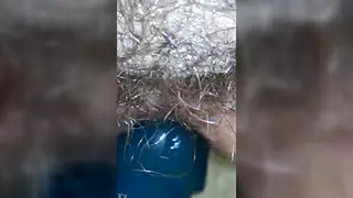 Solo Guy Rides a Blue Toy to the Edge