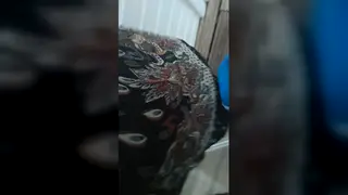 European Granny Gives Sloppy Blowjob