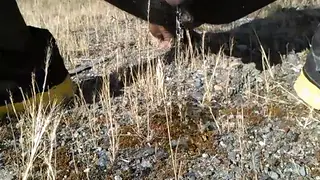 Muscular Latino Releases a Golden Stream Outdoors