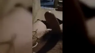 Youthful Twink Strokes His Hard Cock in Solo Masturbation Session