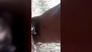 Indian Teen Gets Bareback Sex Outdoors