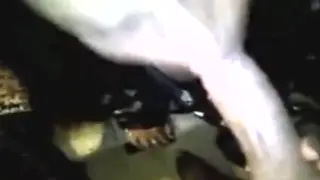 Indian Babe Gives Oiled Blowjob in Close Up