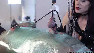 Dominatrix Torments Bound Submissive With Cruel CBT