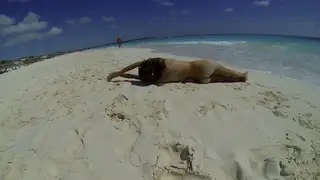 European Teen Strips and Teases on Nude Beach POV