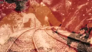 Vintage Solo Reel Shows Full Bush in Silent Era Style