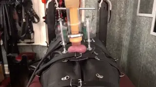 Leather Bondage Session Features Femdom Milking Machine