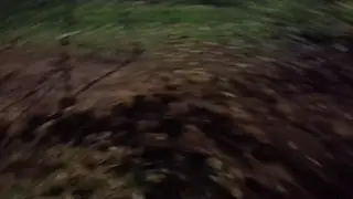 Redhead Latina Lifts Her Skirt to Piss in a Night Park
