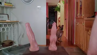 Muscular Mature Hunk Stretches Hole With Massive Toys