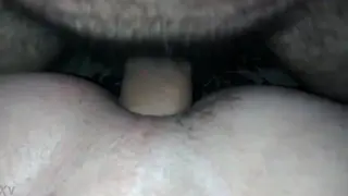 Hairy Bear Enjoys a Quick Passionate Encounter