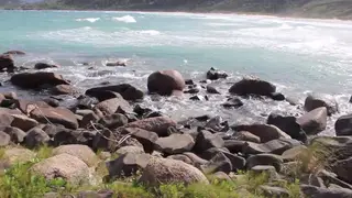Curvy Exhibitionist Pleasures Himself on Public Beach