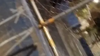 Exhibitionist Flashes His Hard Cock in a Public Square