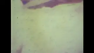 Blonde Gives a Blowjob While Her Feet Are Worshipped