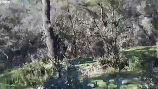 Amateur Couple Caught Fucking Outdoors in Public