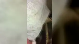 European MILF Screams Through Intense Oral and Doggystyle