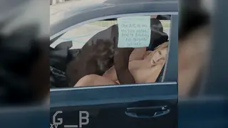 Blonde Gives Roadside Blowjob to Black Stud in Car