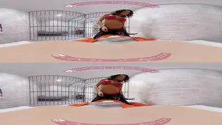 Brunette Takes It Rough Doggystyle in VR