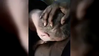 Eager Partner Delivers Passionate Oral Worship to Large Cock