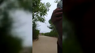 Hairy Bear Strokes His Thick Cock While Walking Nude Outdoors