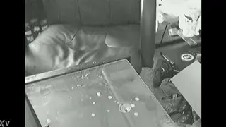 Buddy Jerks Off Onto Desk During Webcam Session