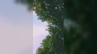 European Twink Performs Handjob Outdoors Near Beach