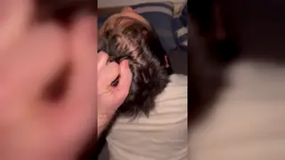 Latino Teen Explores First Time With Mature Bear