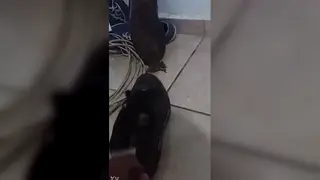 Teen Bounces Energetically With Playful Frog Moves