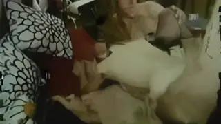 Retro Threesome Ends With a Shared Climax