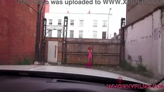 Busty Petite Babe Takes a Risky Car Encounter