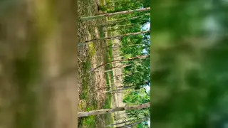 Indian Couple Share Rough Blowjob and Doggystyle Ride