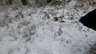 European MILF Endures Public Spanking in Forest