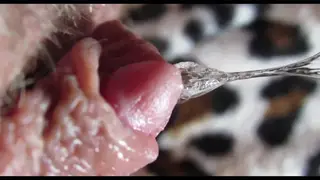 Close-Up Clit Play Builds to Intense Orgasm