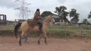 Latina Domme Whips and Rides Her Sub in Fur