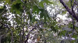 Petite Girl Risks Public Masturbation POV