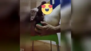 Guy Strokes Himself Slowly in Solo Handjob Clip