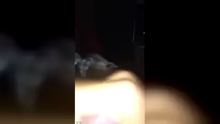 Hairy Latino Strokes Thick Cock to Explosive Solo Climax