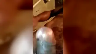 Latino Man Reaches Peak in Solo Session