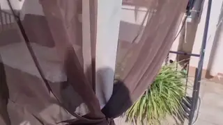 Amateur Couple Finishes With Cumshot on Terrace