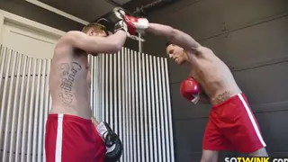 Muscular Teens Fuck Bareback After Intense Blowjob