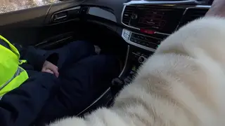 Petite Teen Takes Anal Outdoors in Public